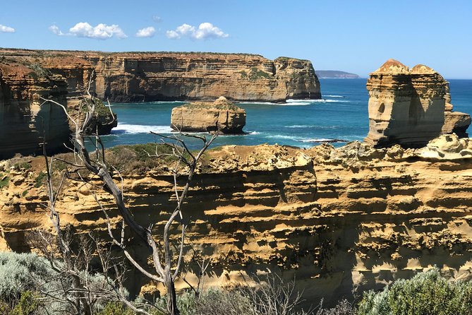 Great Ocean Road Reverse Itinerary Boutique Tour - Max 11 Guests - Great Otway National Park and Maits Rest