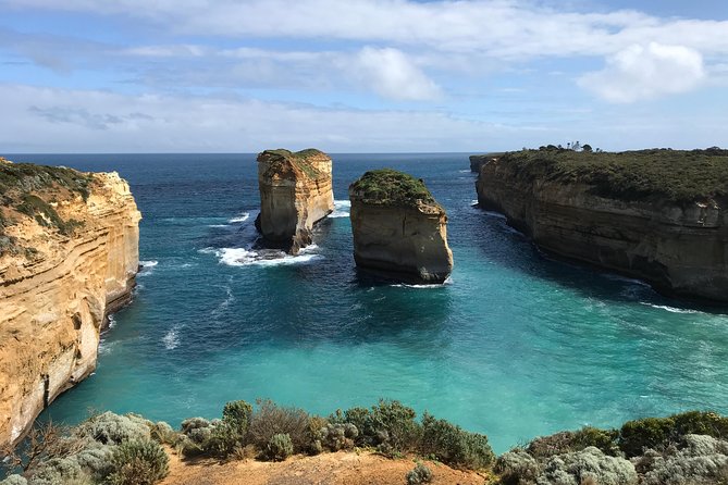 Great Ocean Road Reverse Itinerary Boutique Tour - Max 11 Guests - Kennett River and the search for wildlife