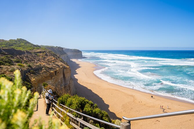 Great Ocean Road Reverse Itinerary Boutique Tour - Max 11 Guests - What the small minivan is really like