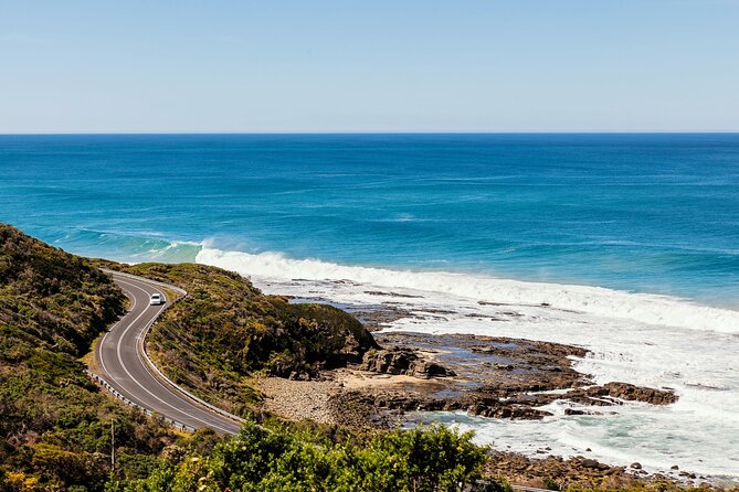 Great Ocean Road Reverse Tour with Iconic Stops & Wildlife - From Melbourne to Loch Ard Gorge