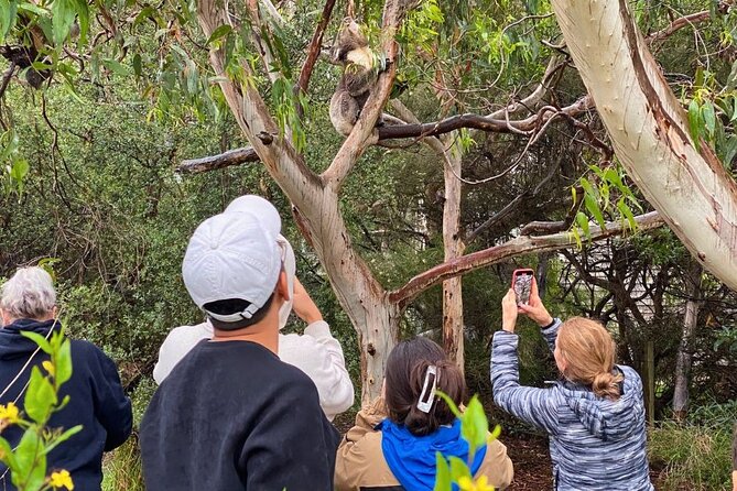 Great Ocean Road Small-Group Eco Tour from Melbourne - The guides shape the experience