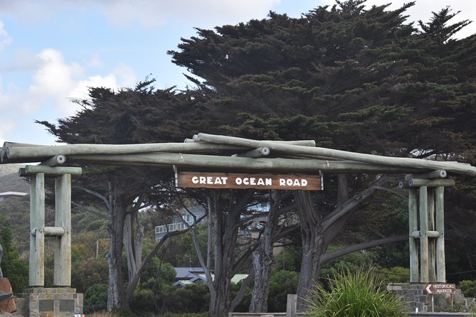 Great Ocean Road Tour Plus Koalas, Forest Walk and Morning Tea - Mait’s Rest and the forest walk
