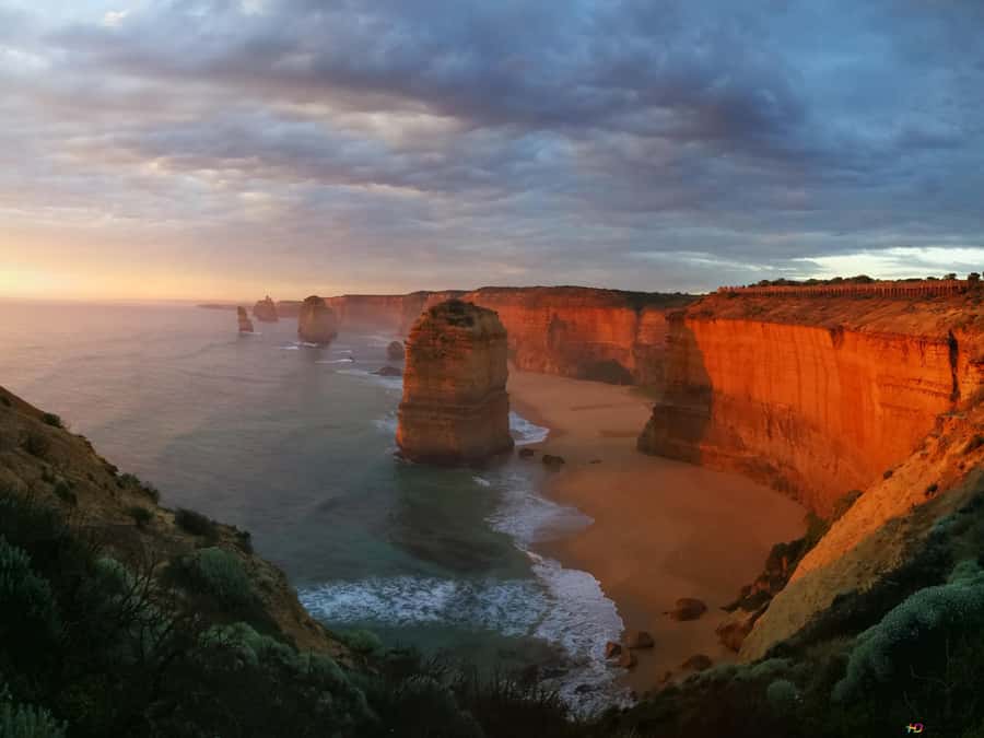 Great Ocean Road Tour PRIVATE LUXURY-FREE entry,hotel pickup - Kennet River and the wildlife question