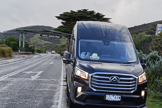 Great Ocean Road Tour Reverse –SML GRP-DLUX Mini Bus Hotel Pickup - Melba Gully and the Otways rainforest