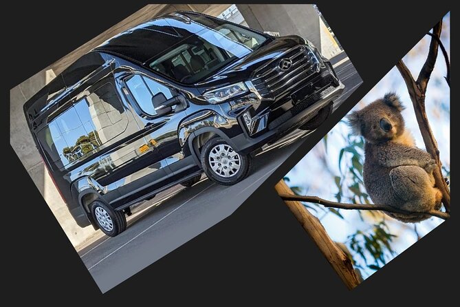 Great Ocean Road Tour Reverse –SML GRP-DLUX Mini Bus Hotel Pickup - Kennett River wildlife and the Memorial Arch
