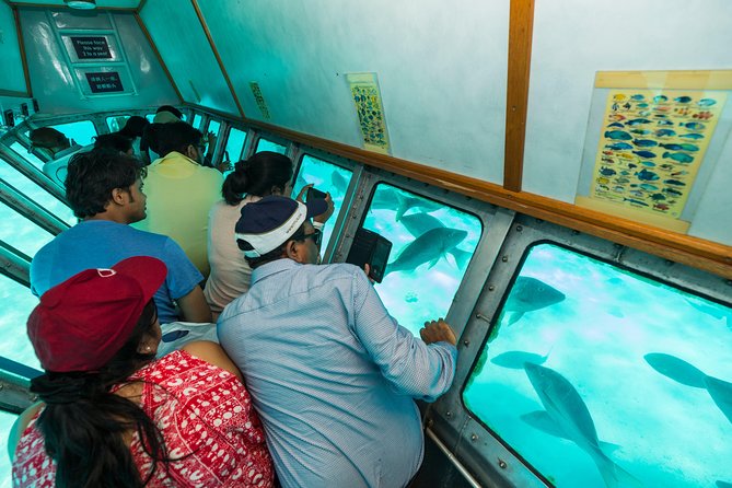 Green Island Day Trip from Cairns - Glass-bottom boat viewing without getting wet