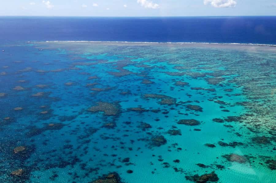 Green Island Fly & Cruise Package - Should you book the Green Island Fly and Cruise Package?