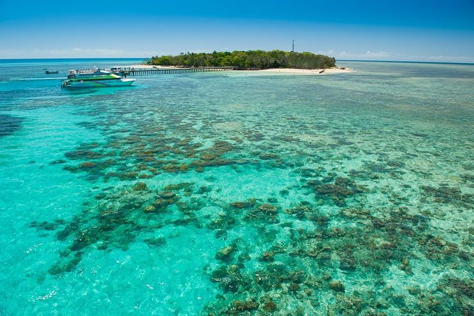Green Island Half-Day Trip from Cairns - Who will enjoy this Green Island trip