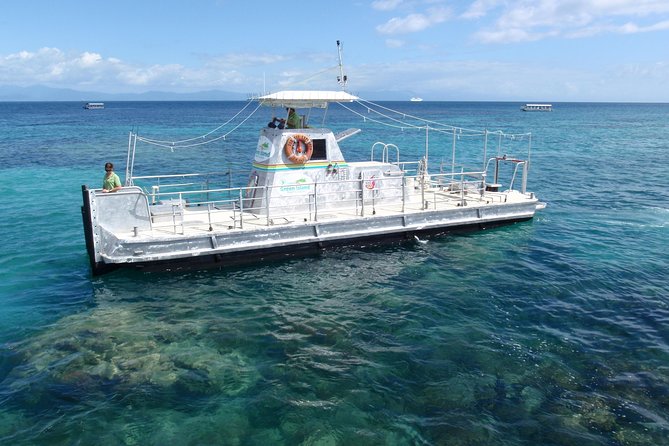 Green Island Half-Day Trip from Cairns - Practical tips for a smoother visit