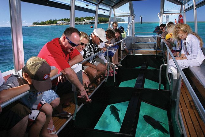 Green Island Half-Day Trip from Cairns - Choosing snorkeling, glass-bottom boat, or semi-submersible