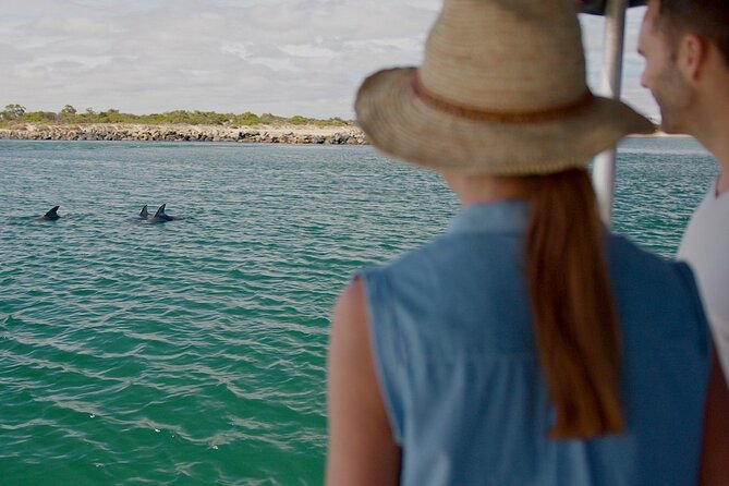 Guided Dolphin Eco-Cruise in Koombana Bay - Key points to know before booking