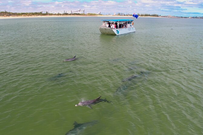 Guided Dolphin Eco-Cruise in Koombana Bay - Why the free return promise matters