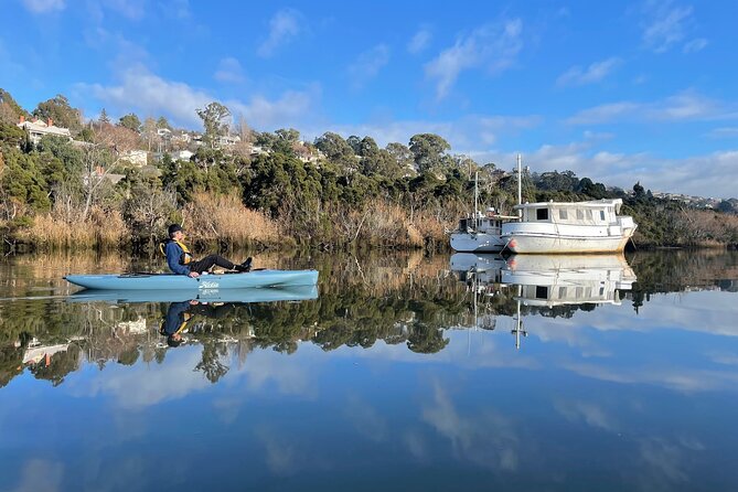 Guided Kayak Tour on Launceston's scenic waterfront on foot powered Hobie kayaks - Pedal power changes the feel of Launceston kayaking