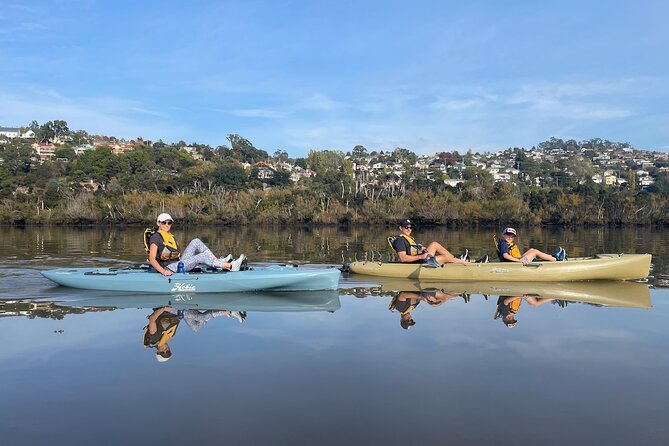 Guided Kayak Tour on Launceston's scenic waterfront on foot powered Hobie kayaks - What the guide adds to the outing