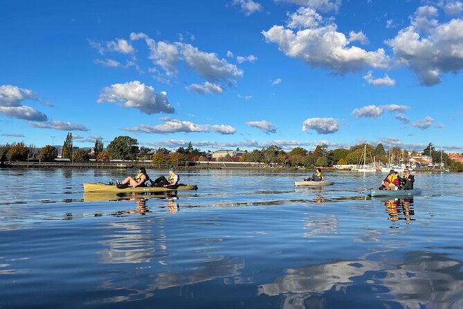 Guided Kayak Tour on Launceston's scenic waterfront on foot powered Hobie kayaks - Following the North Esk to the Tamar