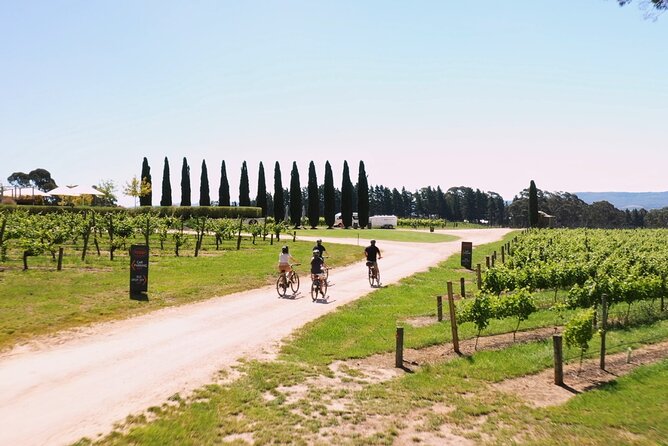 Hahndorf food and wine E-Bike Tour - Udder Delights makes cheese the second star