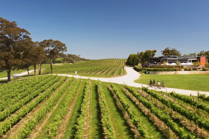 Hahndorf food and wine E-Bike Tour - The Lane Vineyard closes the loop