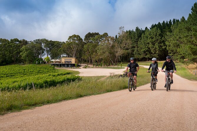 Hahndorf food and wine E-Bike Tour - What the guides add to the experience