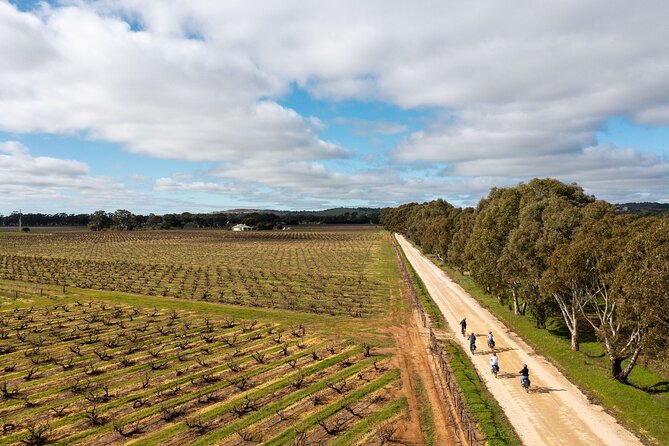 Hahndorf food and wine E-Bike Tour - Beerenberg strawberries add a hands-on stop
