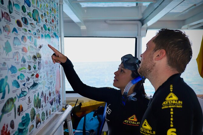 Half Day Great Barrier Reef Snorkeling Tour - About two hours to explore the reef
