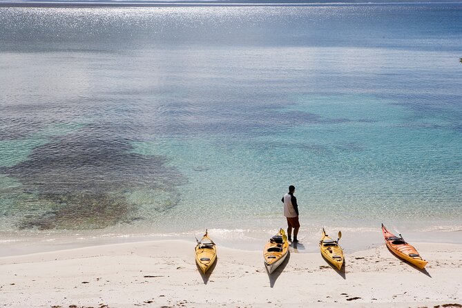 Half-Day Jervis Bay Sea Kayak Tour - Why Jervis Bay works so well by kayak