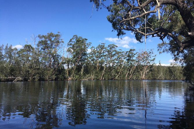 Half-Day Jervis Bay Sea Kayak Tour - The beach stop, cake, fruit, and hot drinks