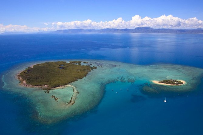 Half Day Low Isles Snorkelling Tour from Port Douglas - How the crew handles beginners and special needs