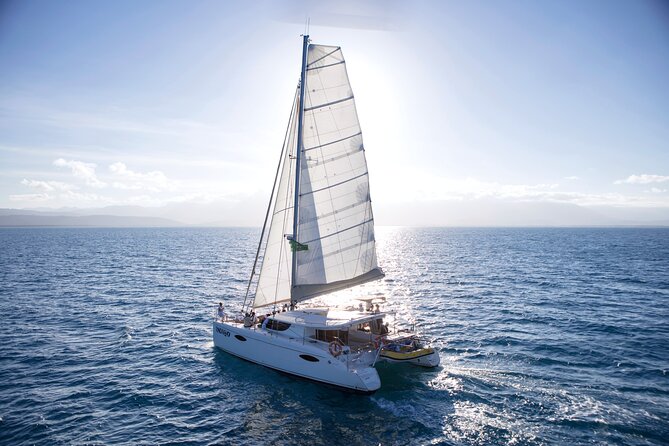 Half Day Low Isles Snorkelling Tour from Port Douglas - Snacks, equipment, and what the price means
