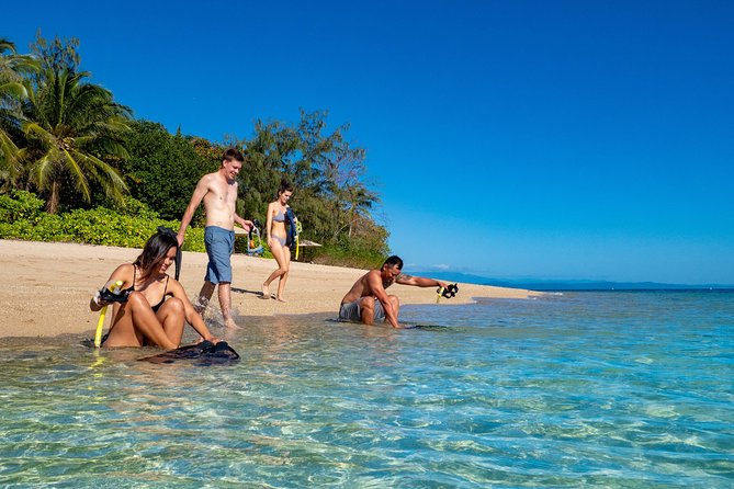Half Day Low Isles Snorkelling Tour from Port Douglas - What happens at the Low Isles lagoon