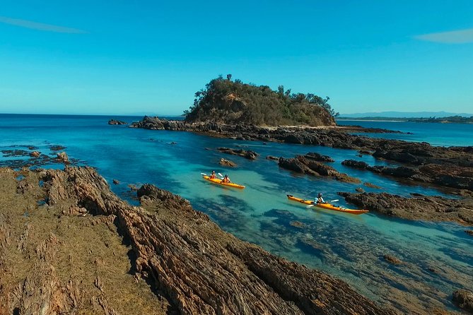 Half Day Sea Kayak Tour from Batemans Bay with Morning Tea - Key points to know before you book