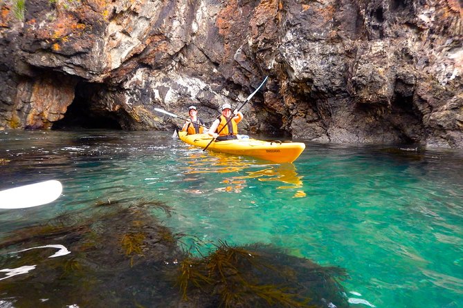 Half Day Sea Kayak Tour from Batemans Bay with Morning Tea - Is the €106.24 price fair?