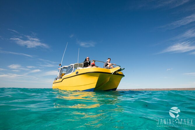 Half Day Snorkel 2.5hr Turtle Tour on the Ningaloo Reef, Exmouth - Why this Ningaloo turtle tour is worth considering