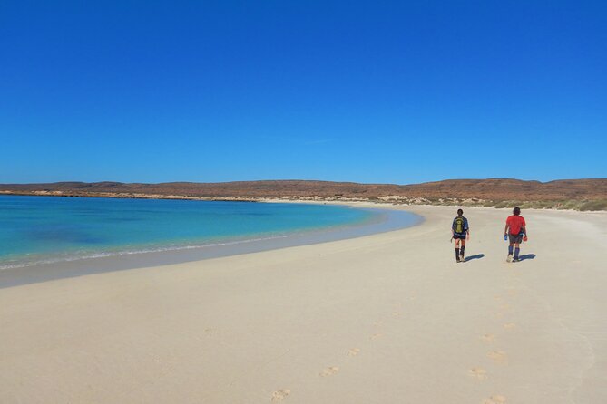Half Day Snorkel 2.5hr Turtle Tour on the Ningaloo Reef, Exmouth - Turtles, sharks, rays, and the luck of the day