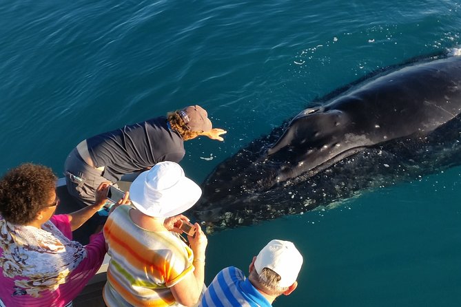 Half-Day Whale Watching Sunset Cruise from Broome - Sunset over Broome from the water