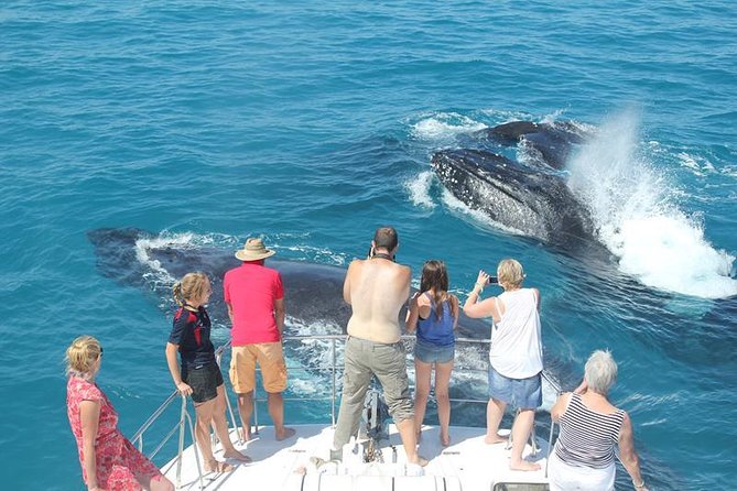 Half-Day Whale Watching Sunset Cruise from Broome - Stepping aboard Ballena