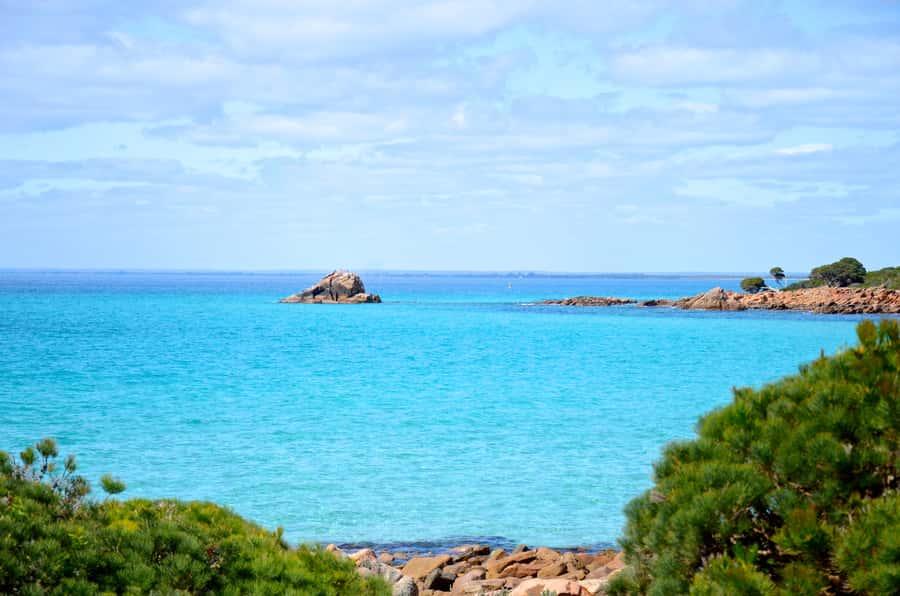 Half day Wine and Sights Discovery Tour Busselton - Key points at a glance