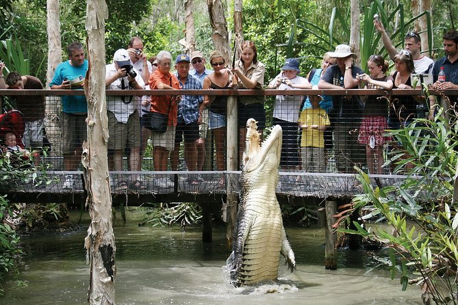 Hartley’s Crocodile Adventures Half-Day Tour from Cairns - Quick take on Hartley’s half-day visit