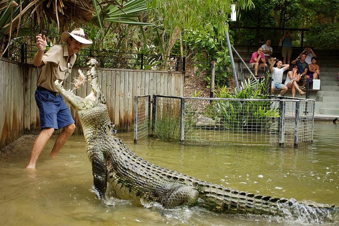 Hartley’s Crocodile Adventures Half-Day Tour from Cairns - Why the crocodile lagoon is the main event