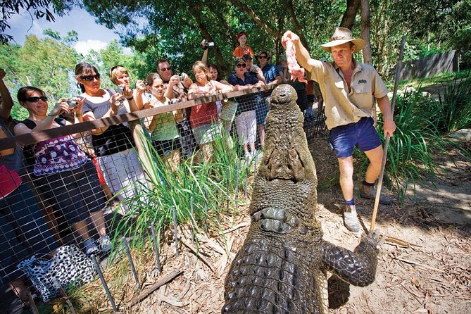 Hartley’s Crocodile Adventures Half-Day Tour from Cairns - What the $89.66 price is really buying