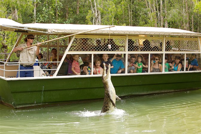 Hartley’s Crocodile Adventures Half-Day Tour from Cairns - Five zones, from cassowaries to koalas