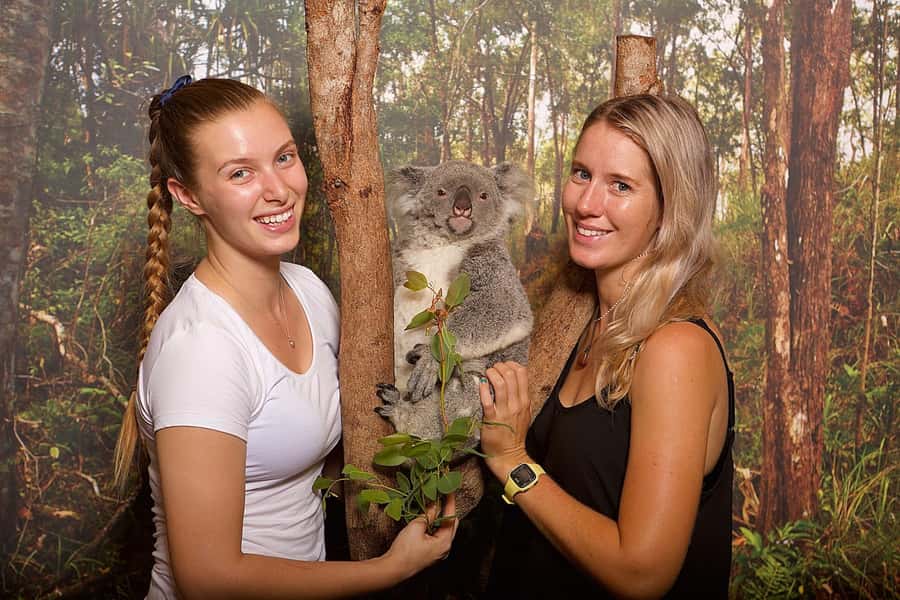 Hartley's Crocodile Adventures: Hartley's Koala Breakfast - Key points to know before booking