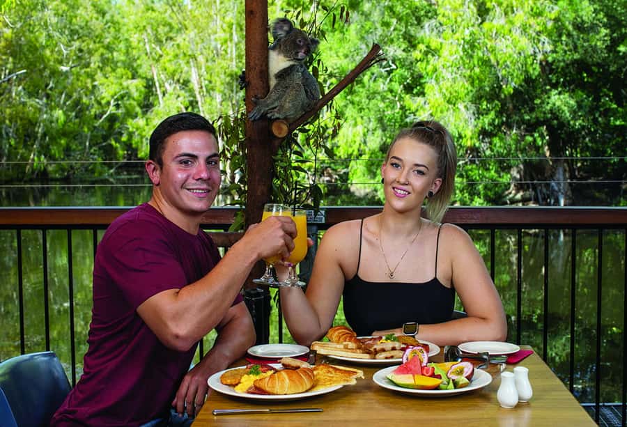 Hartley's Crocodile Adventures: Hartley's Koala Breakfast - A full day after the early meal
