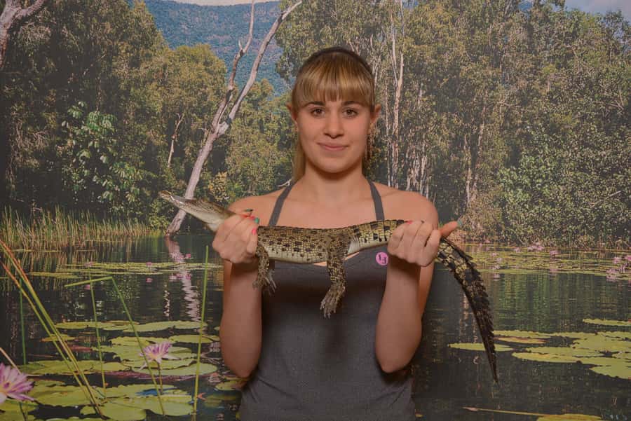 Hartley's Crocodile Adventures Park Entry - Key points to know before you go