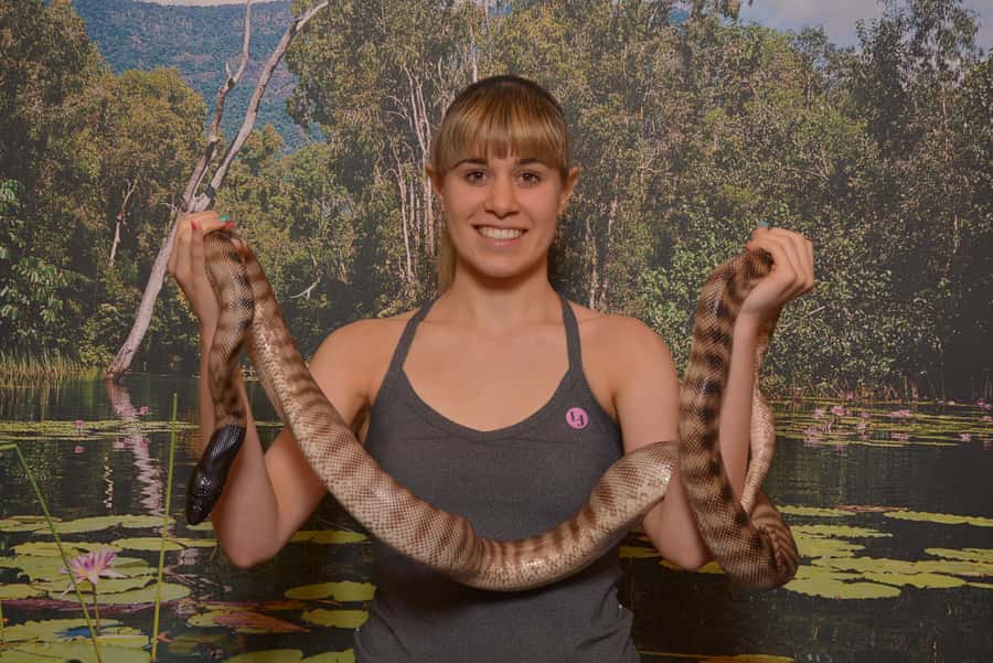 Hartley's Crocodile Adventures Park Entry - The crocodile boat ride is the day’s main event