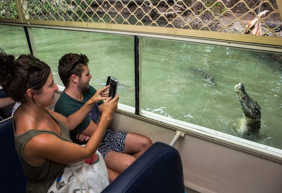 Hartley's Crocodile Adventures Park Entry - What costs extra and what the ticket covers