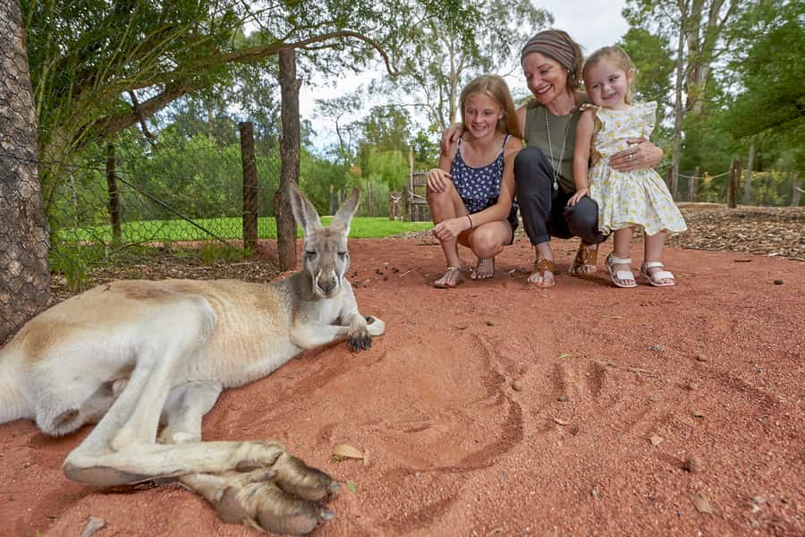 Healesville Sanctuary: General Admission Ticket - Why Healesville Sanctuary works better than a standard zoo