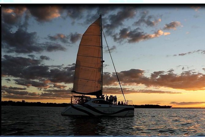 Hervey Bay Champagne Sunset Sail - Dolphins, fruit bats, and other lucky extras