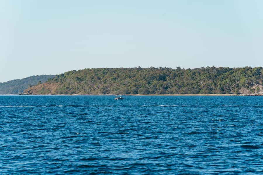 Hervey Bay: Exclusive Whale Watch Encounter - Who should book this whale watch
