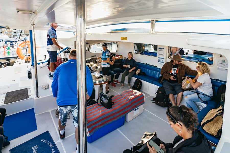 Hervey Bay: Exclusive Whale Watch Encounter - A full day with real meals, not just snacks