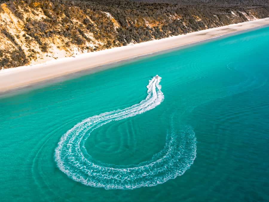 Hervey Bay: Half-Day Whale and Island Adventure by Boat - Key things to know before you book